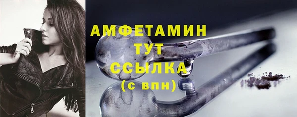 сатива Баксан