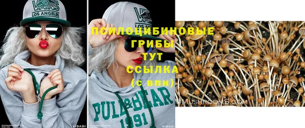 шишки Армянск
