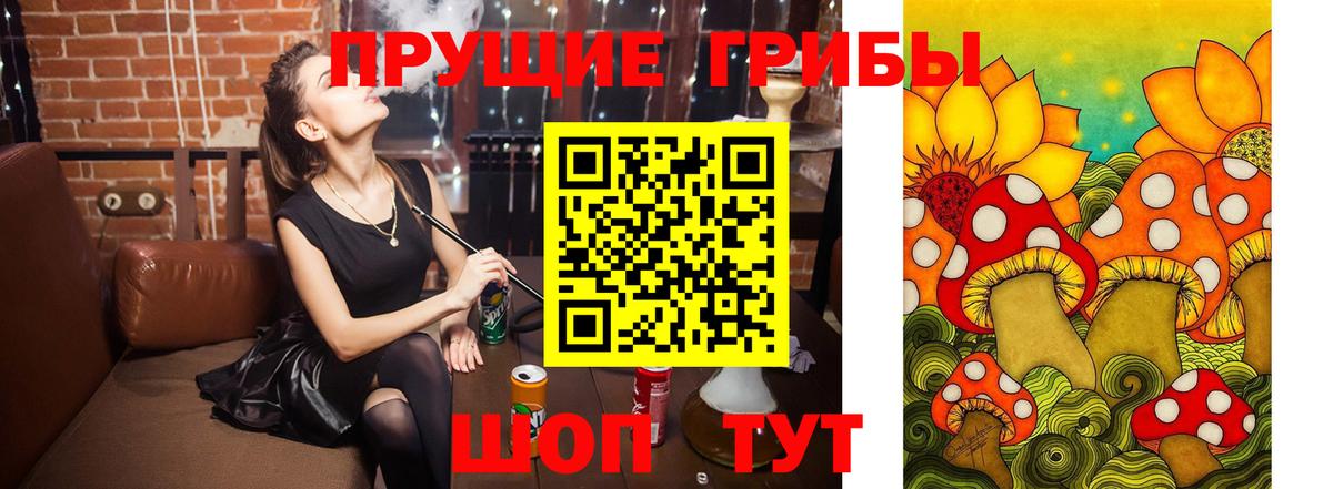 Гуково  Псилоцибиновые грибы прущие грибы  Вход с VPN 