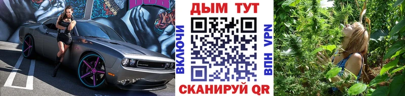 закладки Гуково Конопля Bruce Banner